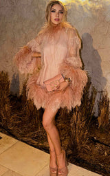 Expensive Taste Pale Beige Lace Feather Mini Dress