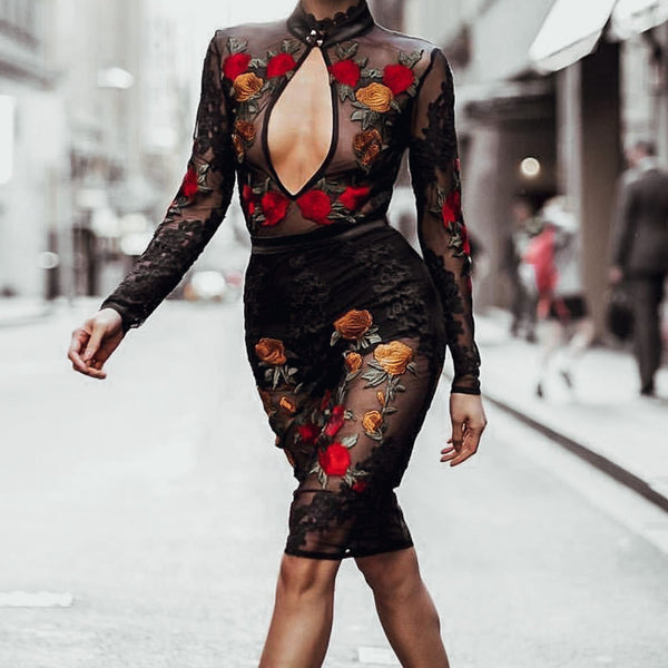 Sexy black deals see through dress