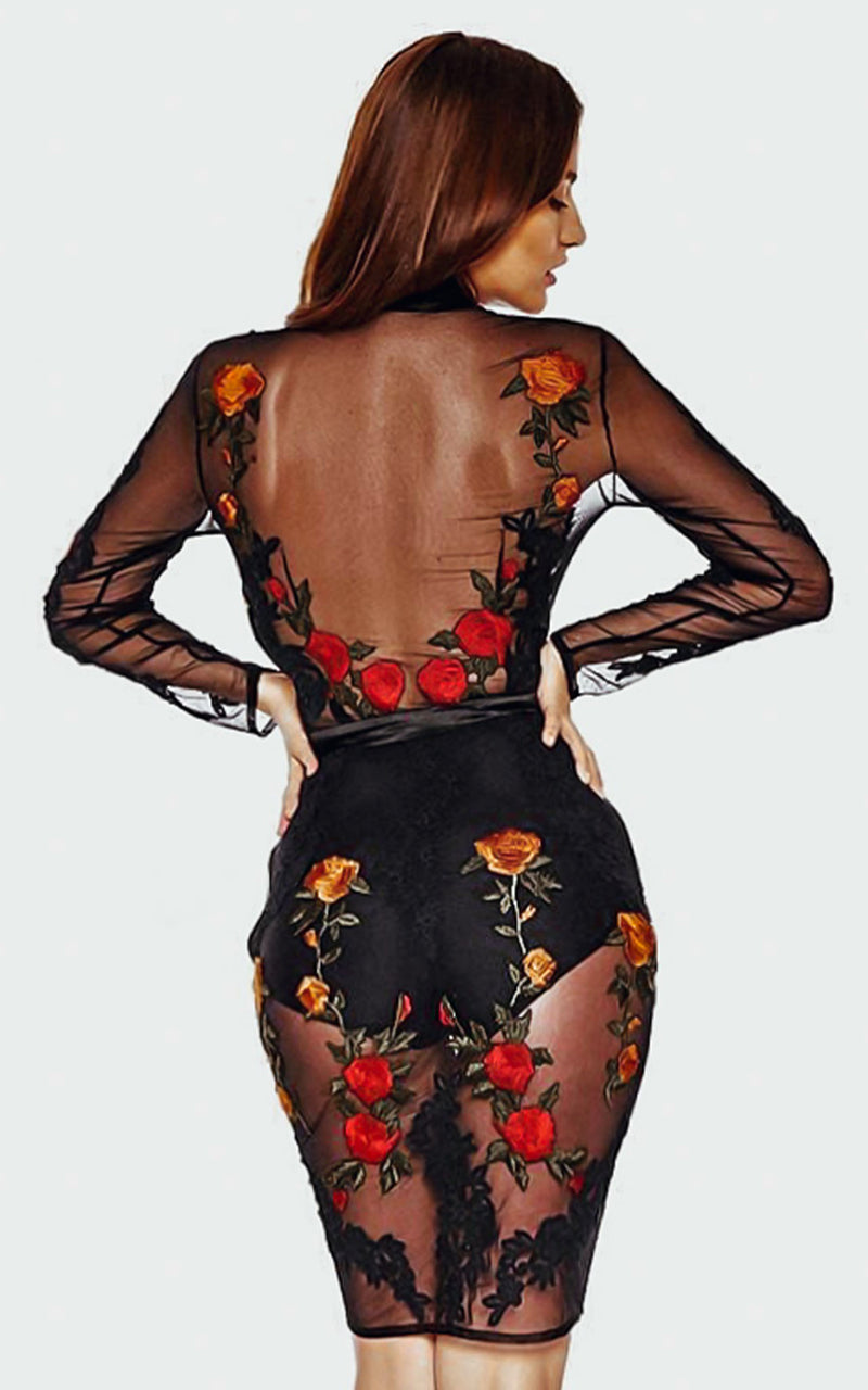 Black sheer sale embroidered dress